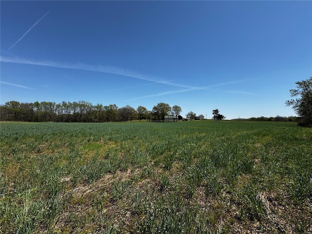 view of local wilderness featuring a rural view