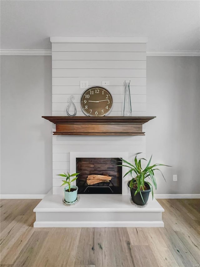 details featuring crown molding, baseboards, a large fireplace, and wood finished floors