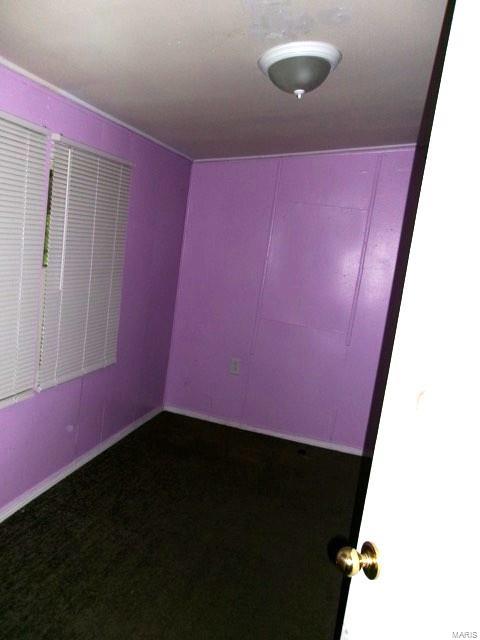unfurnished room featuring carpet