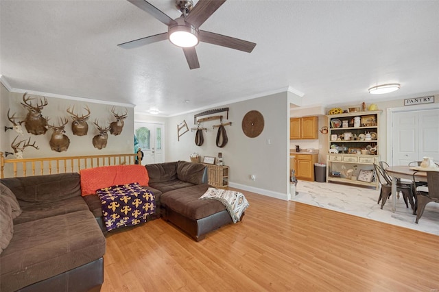 living room with crown molding, a ceiling fan, and light wood-type flooring
