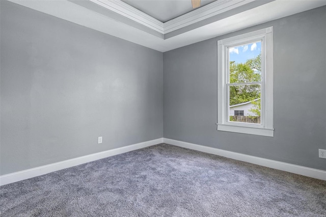 carpeted empty room with baseboards and a raised ceiling
