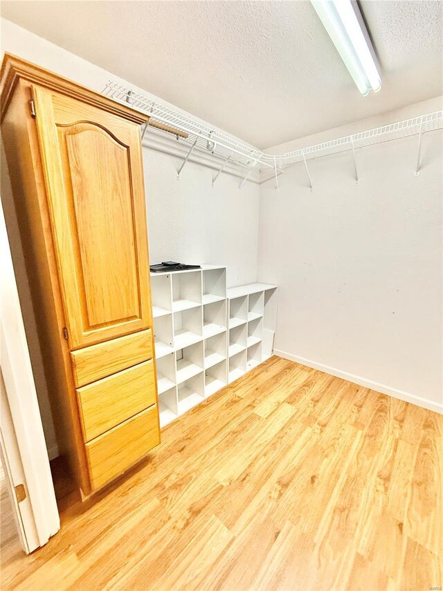 spacious closet featuring light wood-style flooring