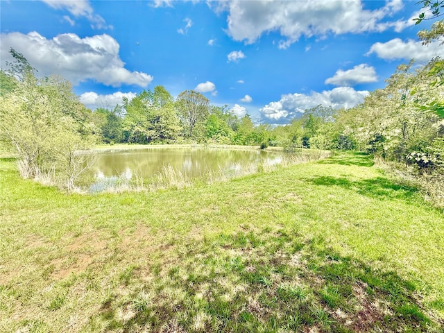 view of yard featuring a water view and a forest view