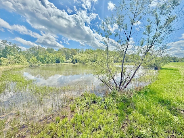 property view of water with a wooded view