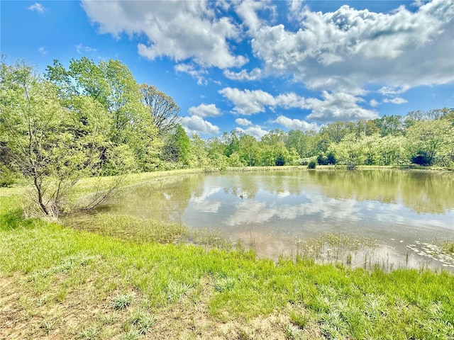 property view of water with a wooded view