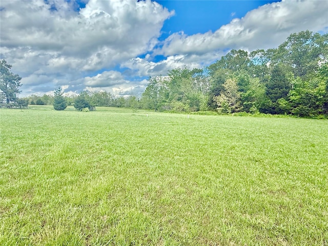view of yard featuring a rural view