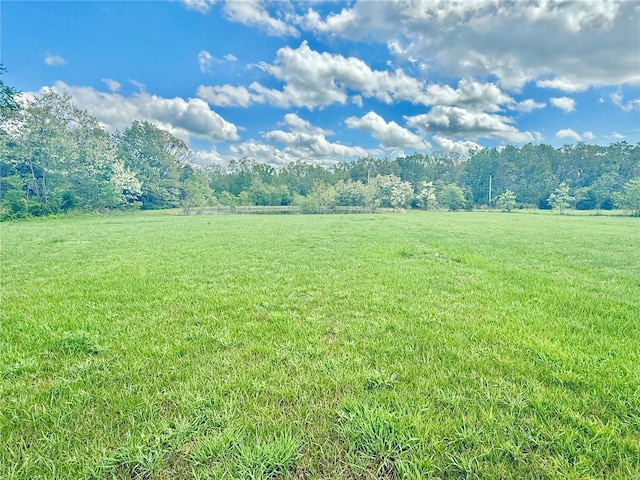view of nature with a rural view