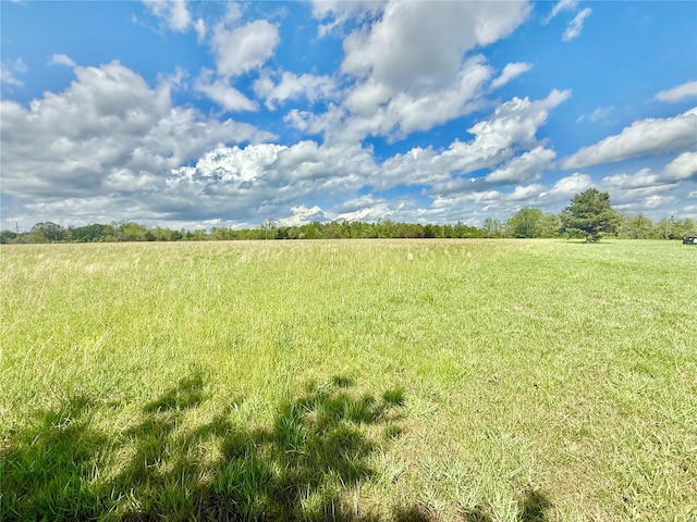 view of nature with a rural view