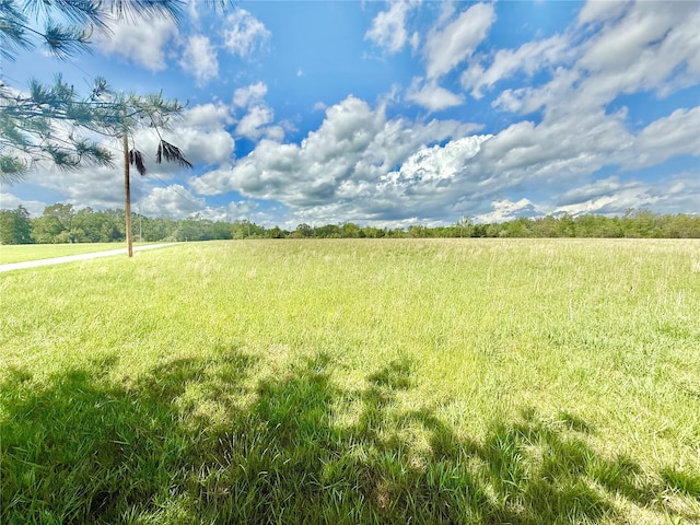 view of yard featuring a rural view