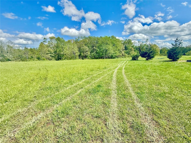 view of yard with a rural view