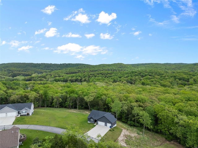 bird's eye view with a forest view