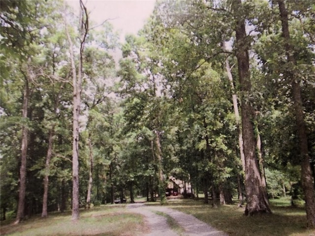 view of road with a forest view and driveway