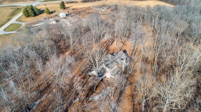 drone / aerial view