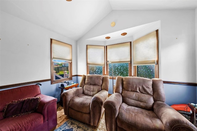 living area with wood finished floors and lofted ceiling