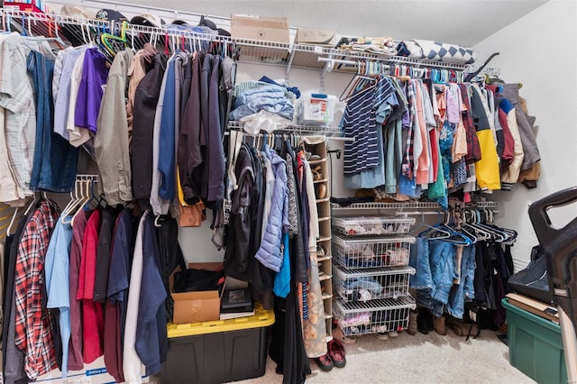 spacious closet with carpet