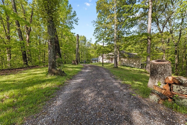 view of street with driveway