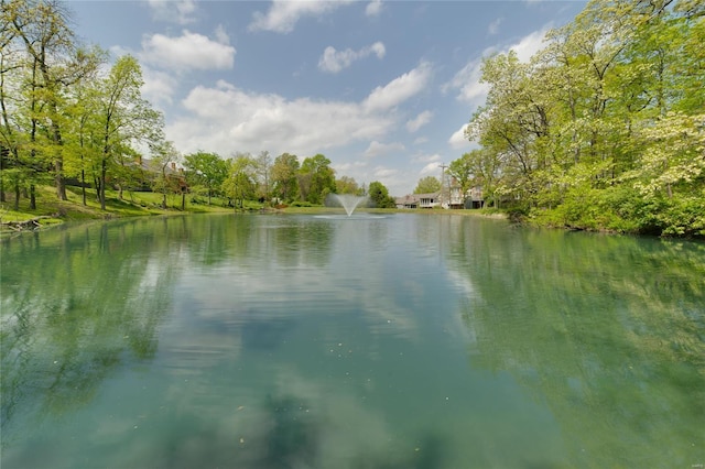 property view of water