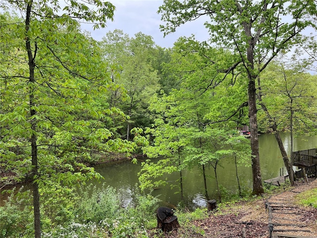 view of local wilderness with a forest view and a water view
