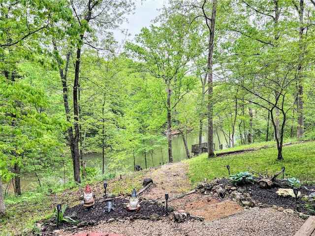 view of yard featuring a view of trees