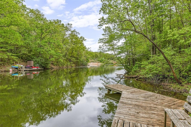 dock area with a wooded view and a water view