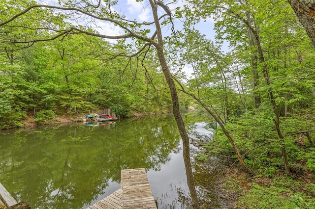 dock area featuring a water view and a forest view