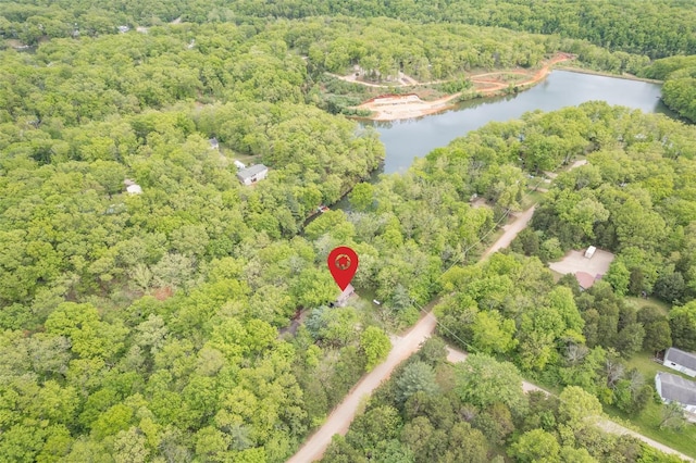 bird's eye view featuring a water view and a forest view