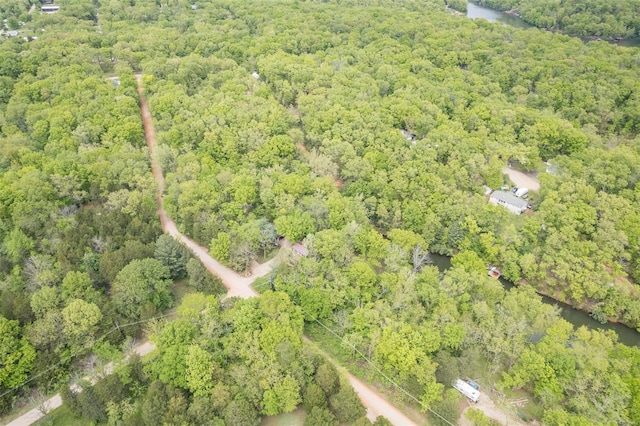 birds eye view of property with a water view and a forest view