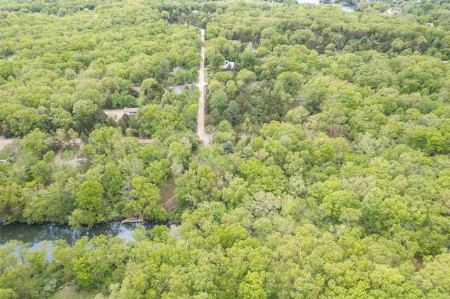 drone / aerial view with a water view and a view of trees