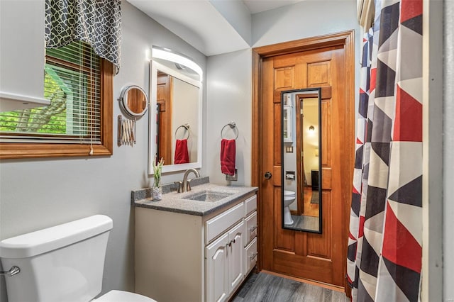 full bathroom with toilet, vanity, and wood finished floors