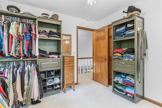 spacious closet with carpet