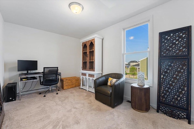 office with carpet flooring