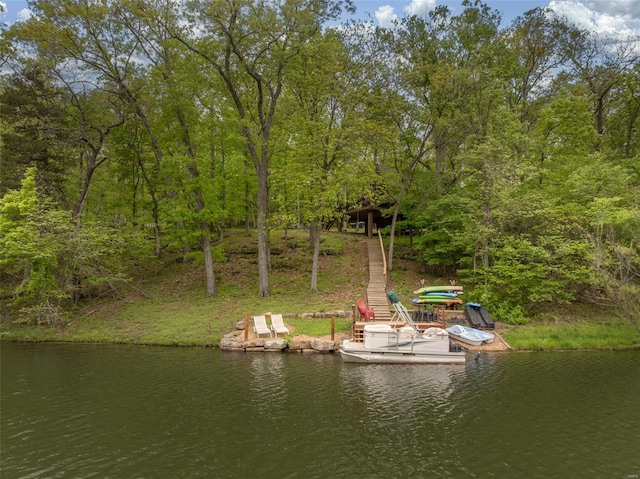 dock area with a water view
