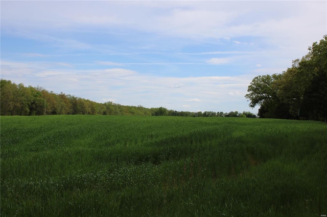 view of local wilderness with a wooded view
