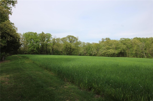 view of nature featuring a wooded view