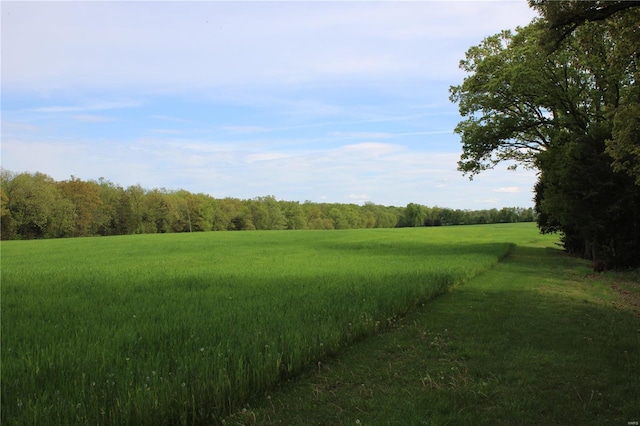 view of nature with a forest view