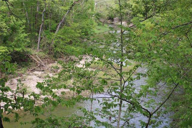 view of nature with a view of trees