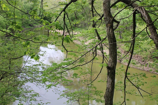 view of local wilderness with a water view and a forest view