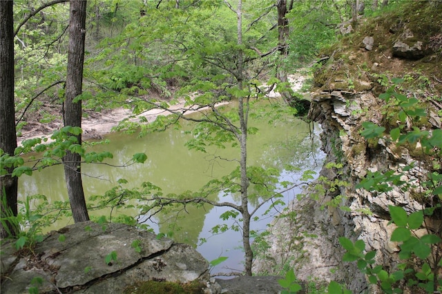 view of nature featuring a water view