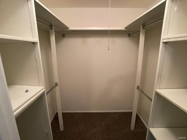 walk in closet with carpet floors