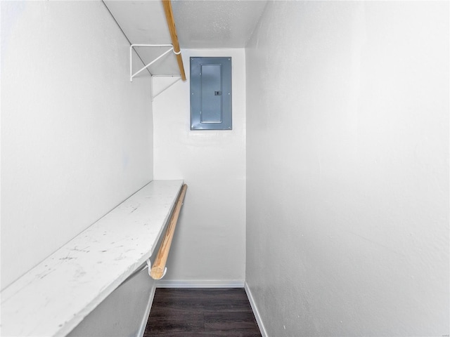 spacious closet featuring electric panel and dark wood-type flooring