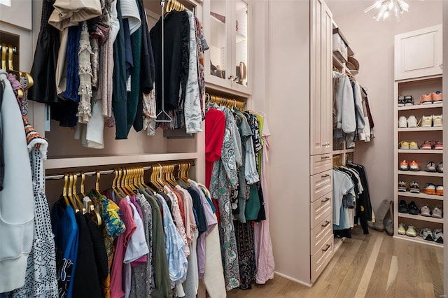 walk in closet with light wood finished floors