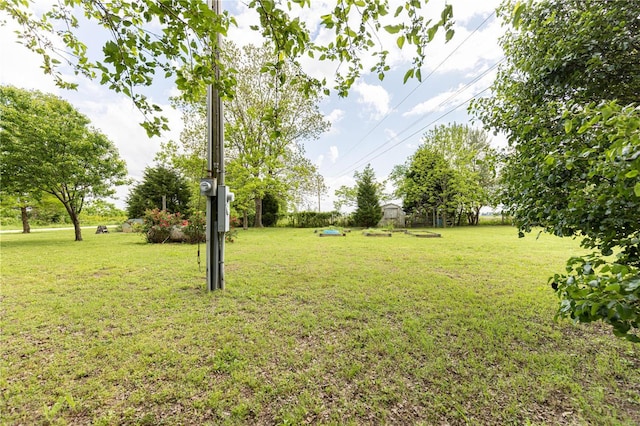 view of yard
