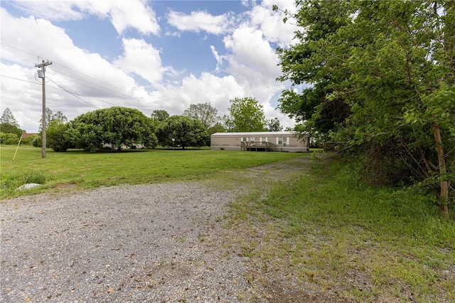 view of yard featuring driveway