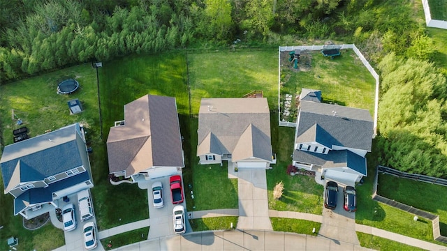 bird's eye view