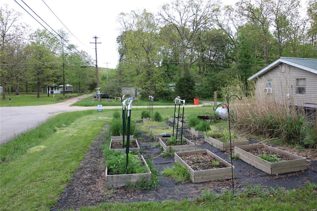 view of yard featuring a vegetable garden