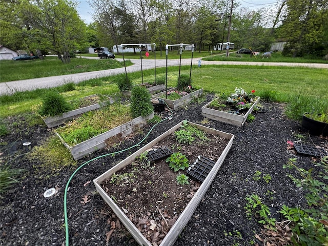 view of yard featuring a vegetable garden