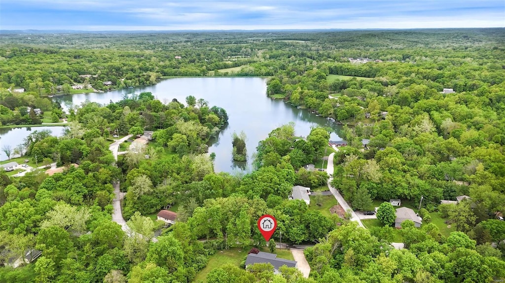 aerial view featuring a water view and a view of trees