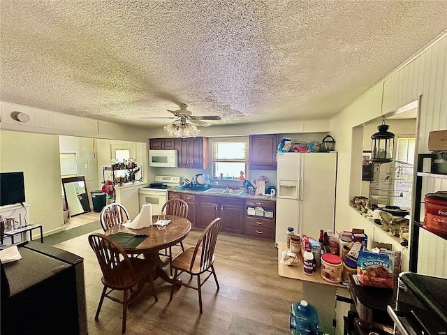 dining space with light wood finished floors, a textured ceiling, and ceiling fan