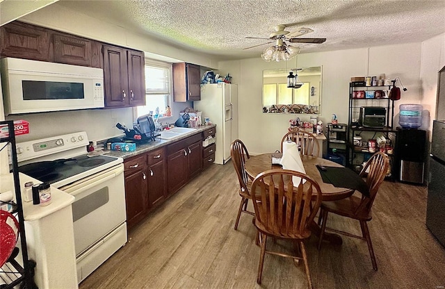 kitchen with dark brown cabinets, a ceiling fan, a textured ceiling, light wood-type flooring, and white appliances