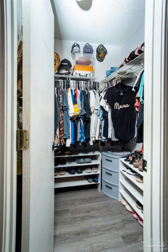 spacious closet featuring hardwood / wood-style floors